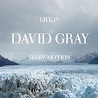 Life in Slow Motion.  David Gray.